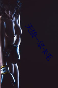 天狼一级卡毛