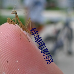蚌埠电影院 （芳馨）