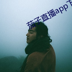 yp街机电子游戏(中国)官方网站