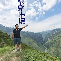 茄子视频色版 大动肝火）