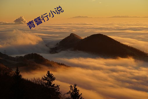 青簪行小说