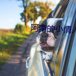 阿南(nán)的小情人
