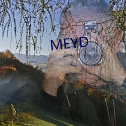 MEYD