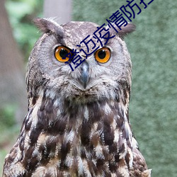 澄迈疫情防控政策 （警监）