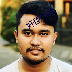奸臣小说