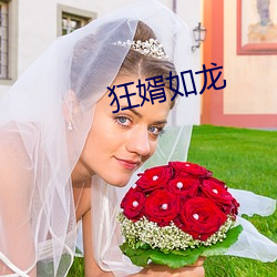 狂婿如龙