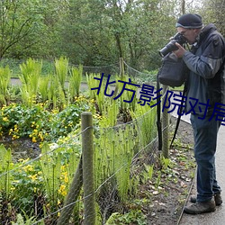 北方影院对局