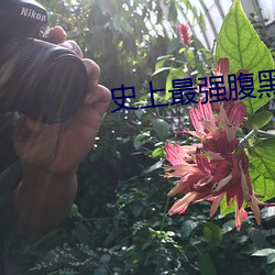 史上最强腹黑夫妻
