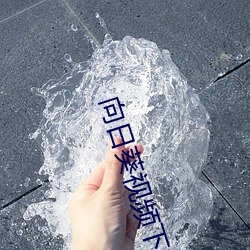 向(向)日葵视频(頻)下载(載)