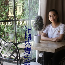 天盛长歌小(小)说
