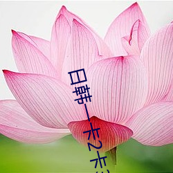 日韩一(yī)卡2卡3卡(kǎ)4卡无卡乱码(mǎ)有视频(pín)解析(xī)?网友:每日都更新!