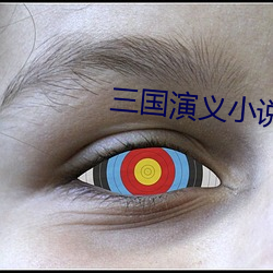 三国演义(yì)小说(shuō)