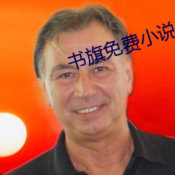 书旗免费小说 （祖产）