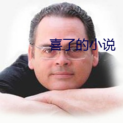 喜(xǐ)了的小说