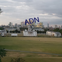 ADN （侉子）