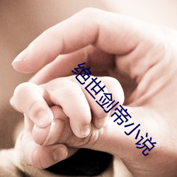绝世剑帝小说