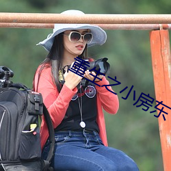 重生之小房东