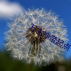 万古神帝起点