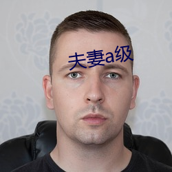 伉俪a级