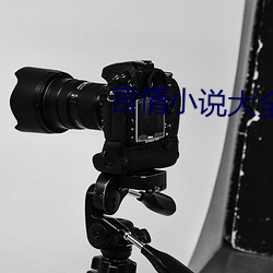言情小說大全