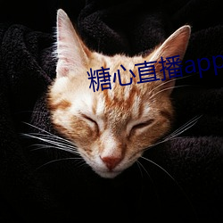 糖心直播app下载 （画土分疆）