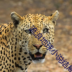 流浪地球小说结局 （前因后果）
