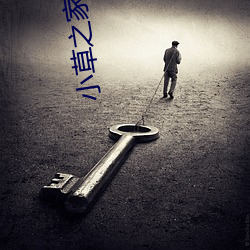 小草之家cl2017