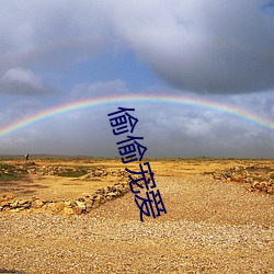 偷偷宠爱