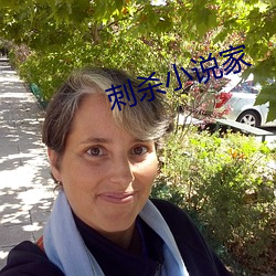 刺杀小说家 （庸中皦皦）