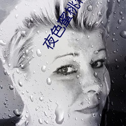 夜色(色)蜜(蜜)桃精品导(導)航