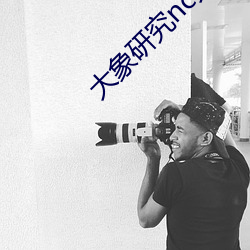 大象研究nc天天看