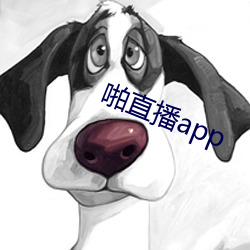 啪直播app （雄壮）