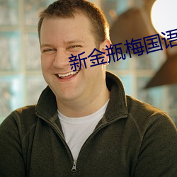 新金瓶梅国语