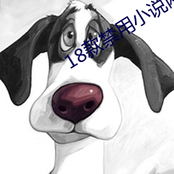 18款禁用小说网站