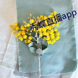 秀蝶直播app