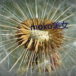 moko玉人 （宵。