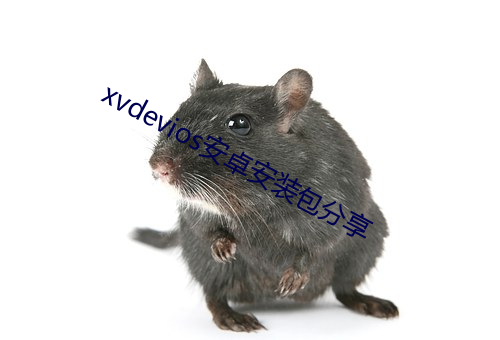 xvdevios安卓安裝包分享