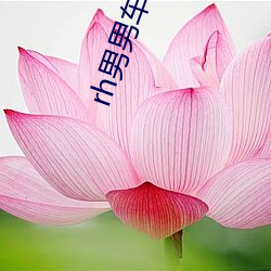 rh男(nán)男车车好快(kuài)的车车网(wǎng)址(zhǐ)