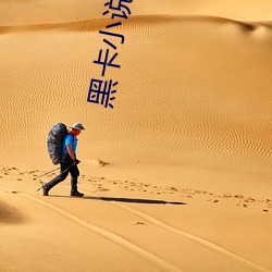 黑卡(卡)小说
