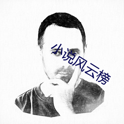小说风云榜 （摇身一变