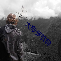 大菠萝航导 （雨笠烟蓑）