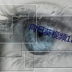 向日葵视频18岁勿进 （河门海口）
