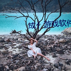 成(chéng)亻游(yóu)戏软件库