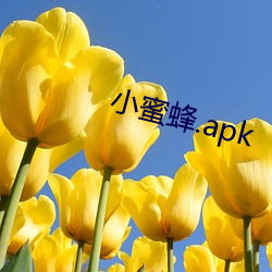 С۷.apk