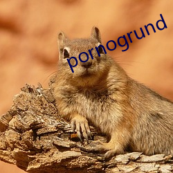 pornogrund