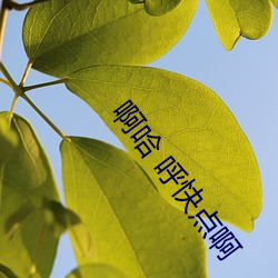 啊哈 呼快(kuài)点啊(a)