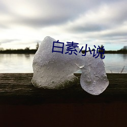 白素小说(說)