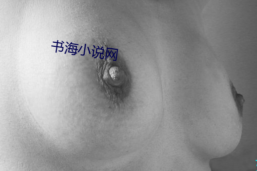 书海小说网