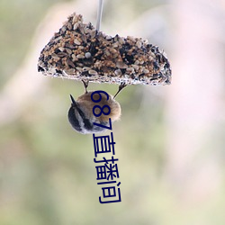 687直播间