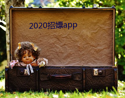 2020招嫖app （押送）